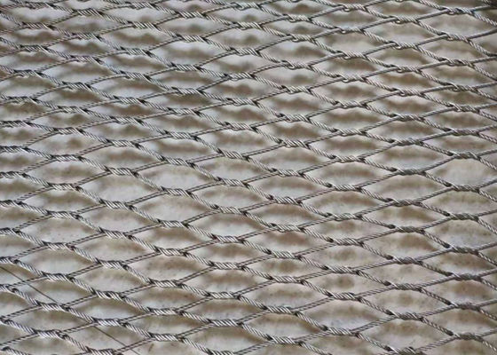 50x50mmのAntirust適用範囲が広い金網1.6mm Diaの編みこみの金網の鳥スクリーン