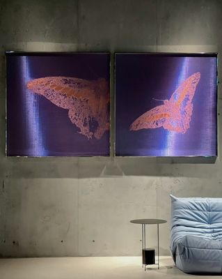 高耐久性 織布線網壁画 3D網織物のために