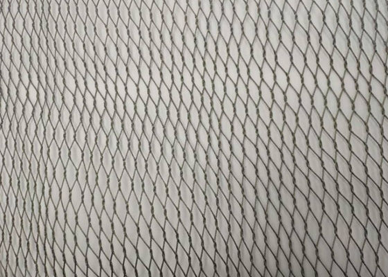 50x50mmのAntirust適用範囲が広い金網1.6mm Diaの編みこみの金網の鳥スクリーン
